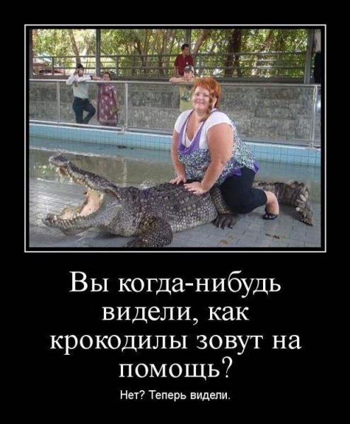 Демотиваторы про гопников