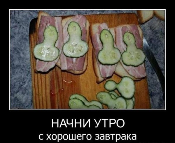 Утро студента прикол