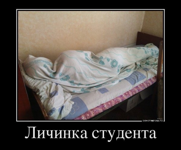 Смешные демотиваторы до слез