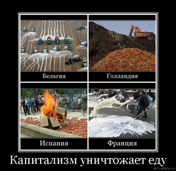 Социализм и капитализм демотиваторы