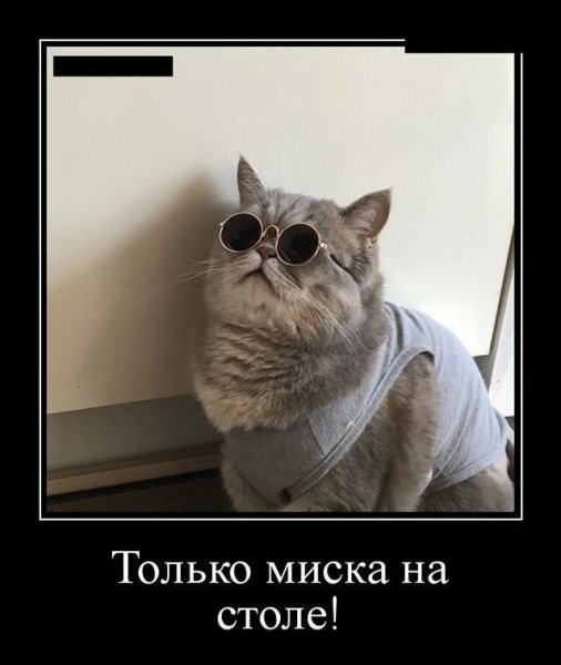 Демотиваторы смешные