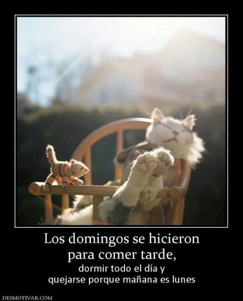 Позитивные демотиваторы