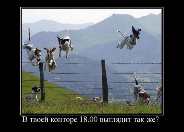 Демотиватор конец рабочего дня