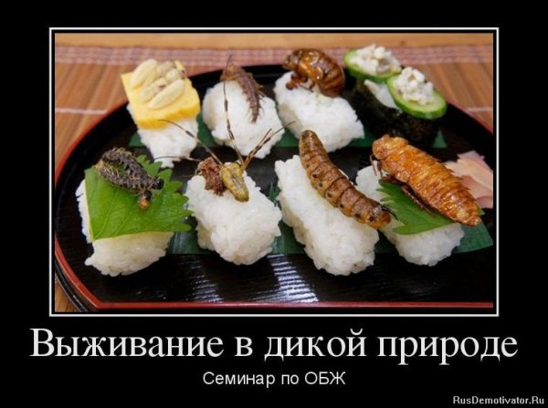 Выживальщик демотиватор