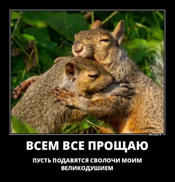 Анекдот про экстремала