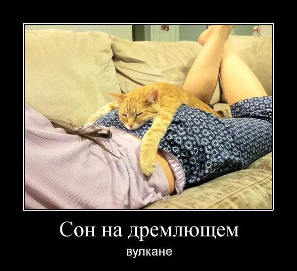 Демотиваторы про сон смешные