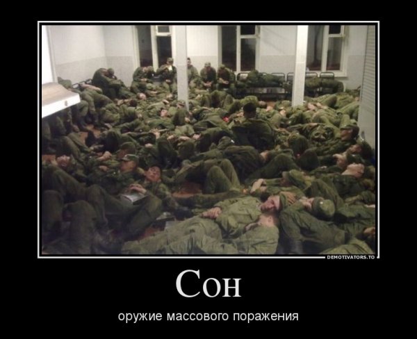 Приснилась армия прикол