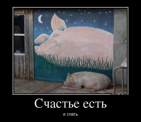 Демотиваторы про сон