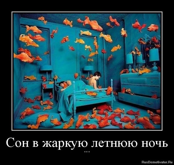 Я сплю демотиватор