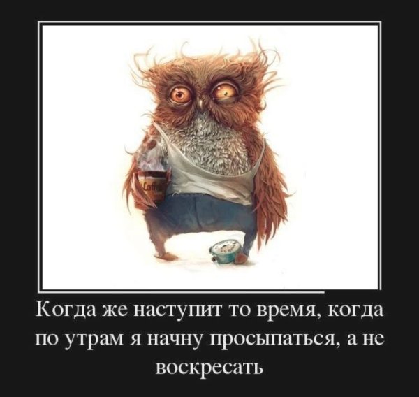 Демотиваторы с добрым утром