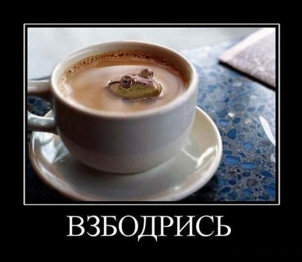 Демотиваторы доброе утро с юмором