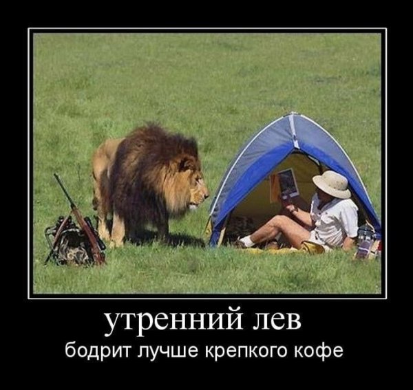 Чашка утреннего депрессо