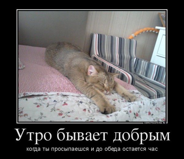 Бодрое утро демотиватор