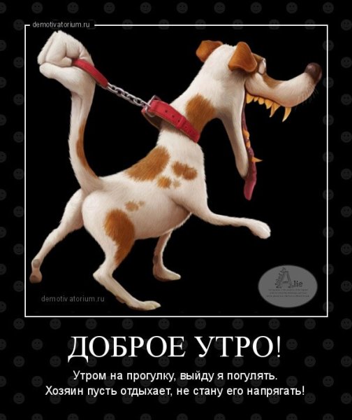 С добрым утром демотиваторы смешные