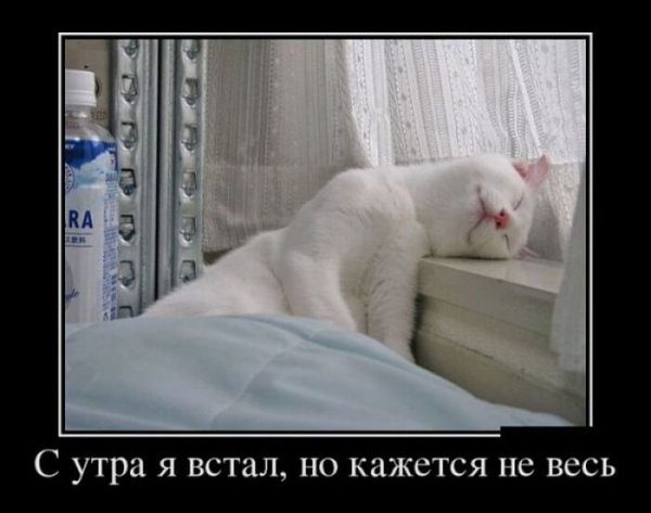 Кофе демотиваторы
