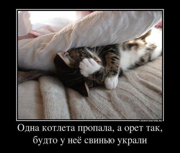 Демотиваторы 8 марта