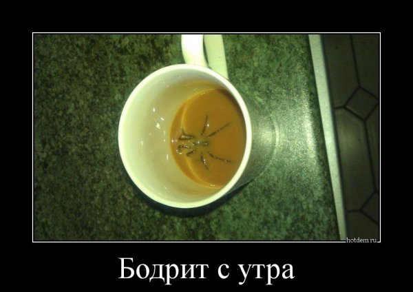 Утренний кофе демотиватор