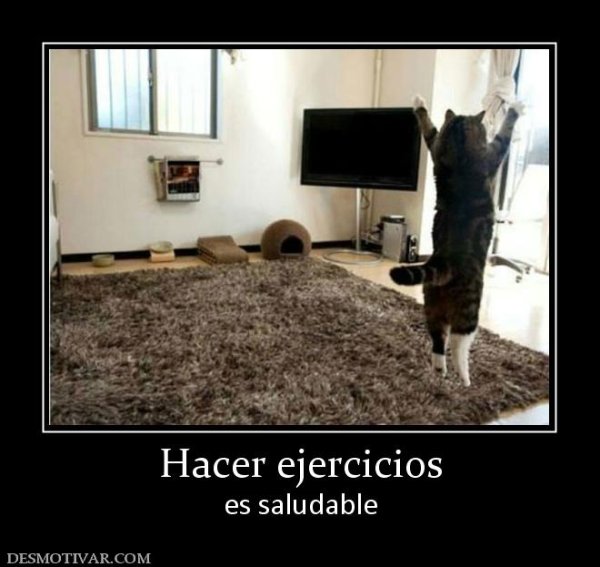 Демотиваторы нежность