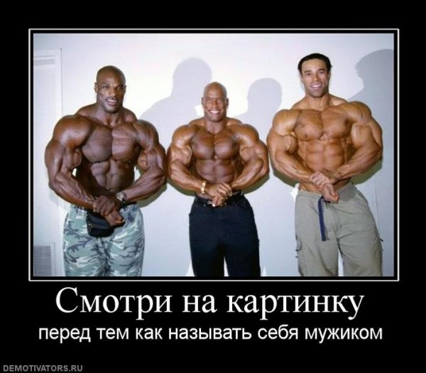 Приколы про бодибилдеров