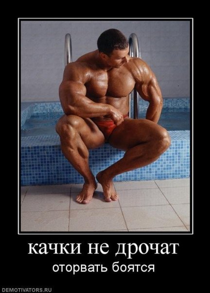 Демотиваторы про качков прикольные