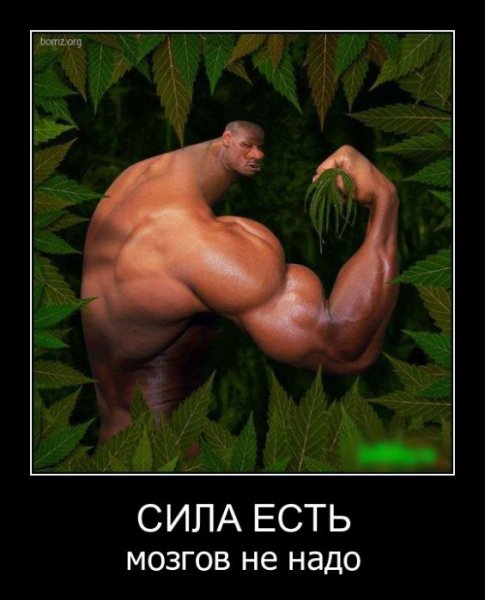 Смешной качок