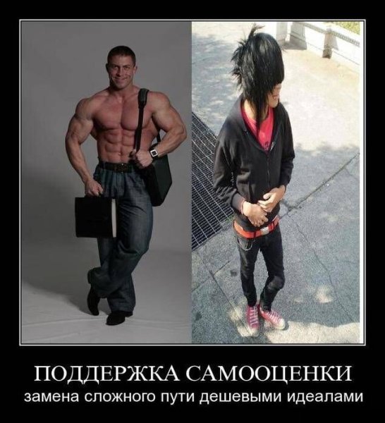 Качки демотиваторы