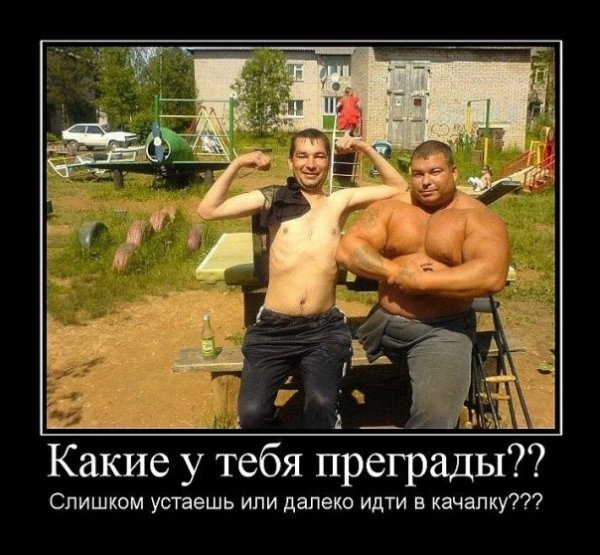 Демотиваторы про качков смешные