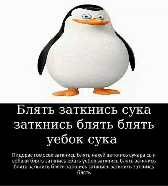 Заткнись Мем с пингвином