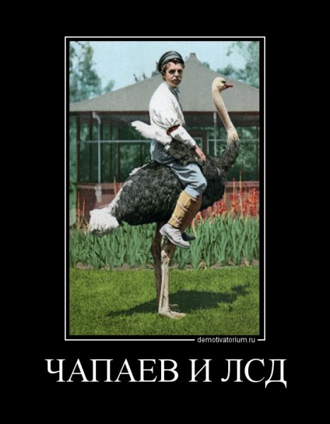 Чапаев демотиватор
