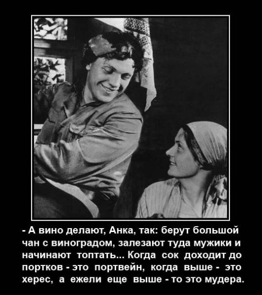 Анекдоты про Чапая Анку и Петьку