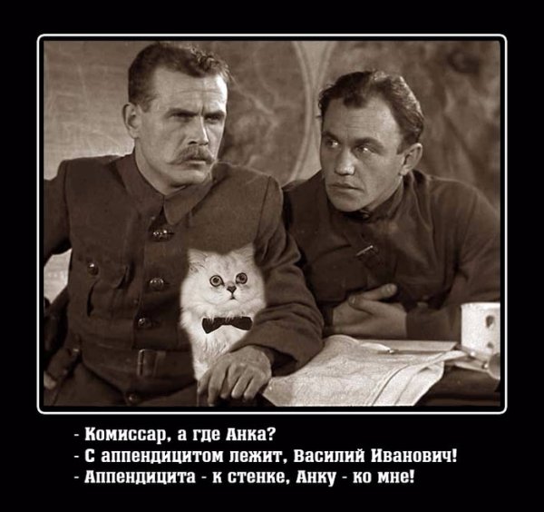 Чапай прикол