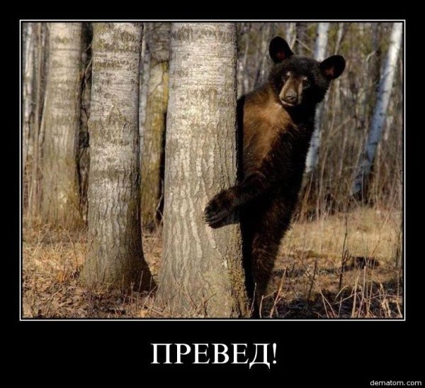 Не буди лихо пока оно тихо