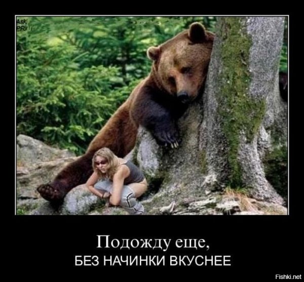 Белый медведь демотиватор