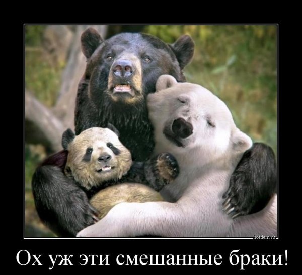 Шутки про геодезистов