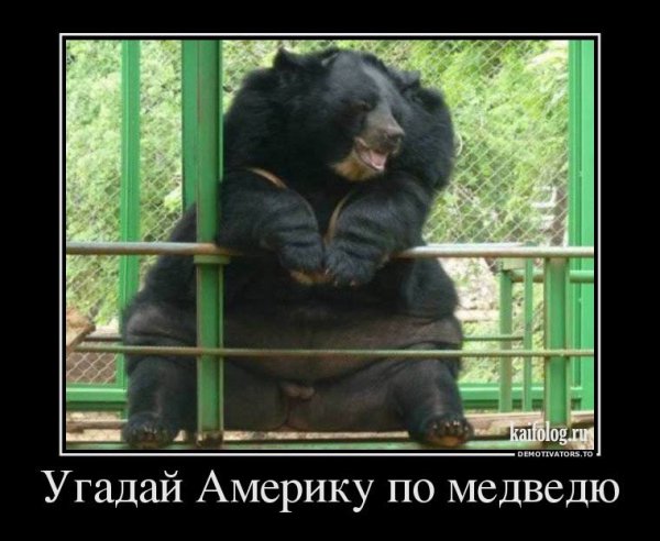 Русский медведь демотиватор