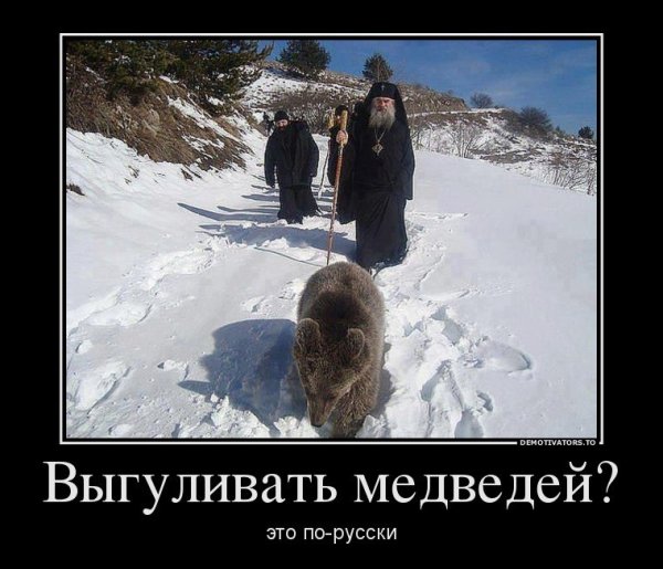 Демотиваторы с медведем смешные