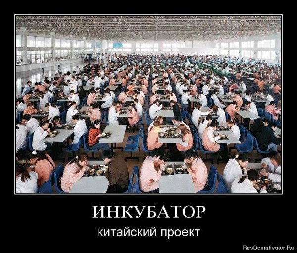 Китайцы юмор