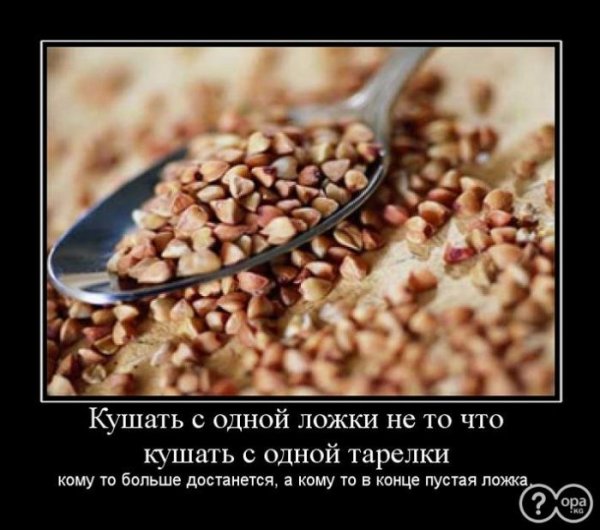 Гречка прикол