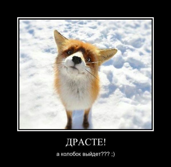А Колобок выйдет гулять