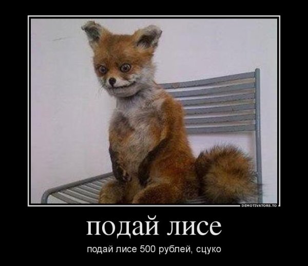 Лис демотиватор