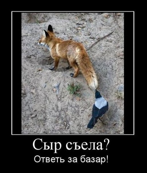 Демотиваторы с лисами