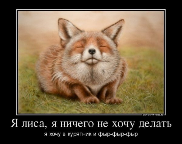 Лисенок демотиваторы