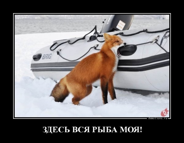 Лиса демотиватор