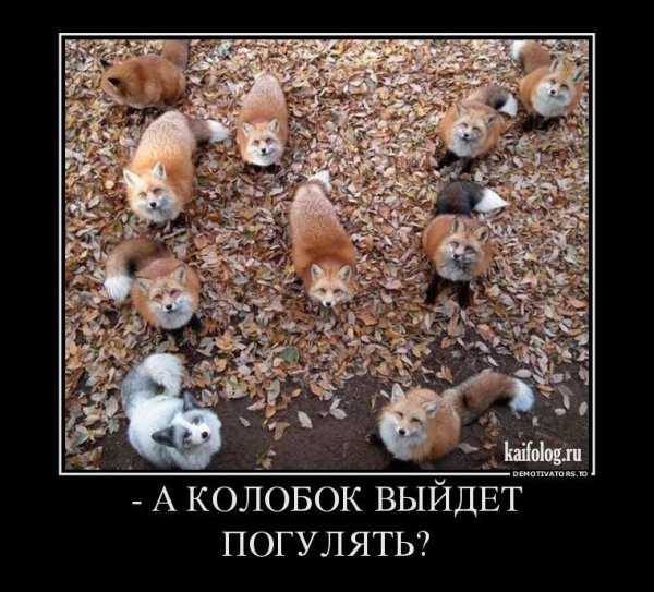 А Колобок выйдет