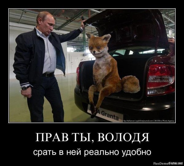 Упоротый Лис и Путин