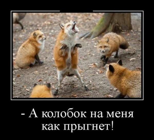 А Колобок выйдет гулять
