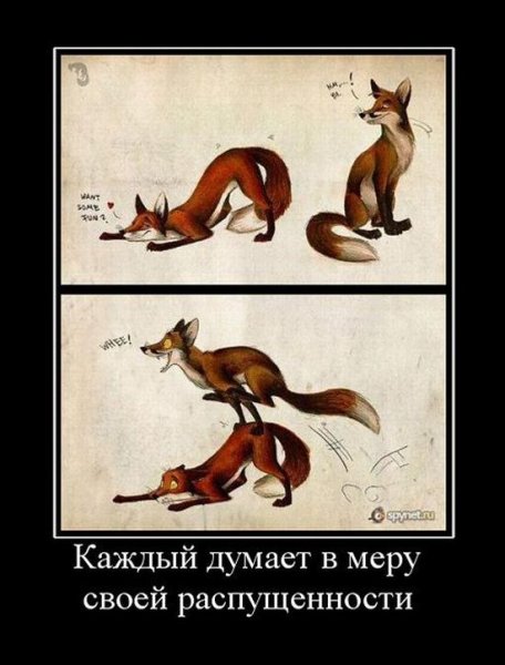 Каждый думает в меру своей