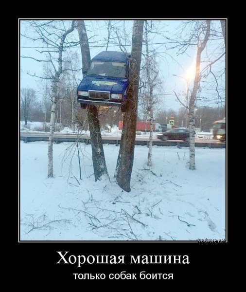 Авто прикол демотиватор