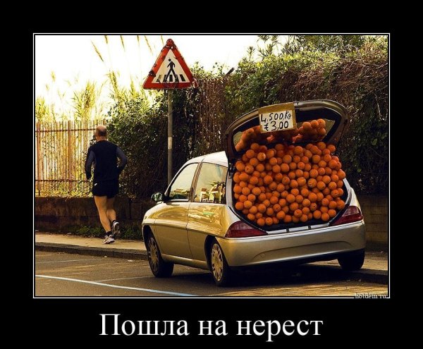 Peel p50 Кларксон