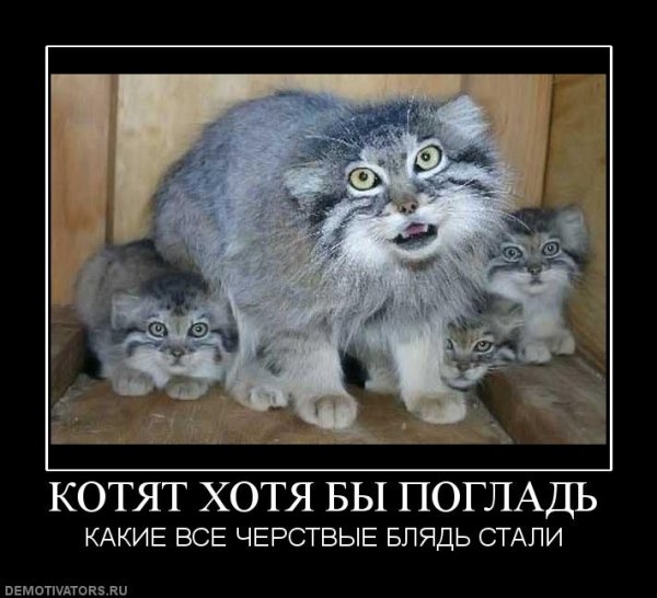 Не доброе утро